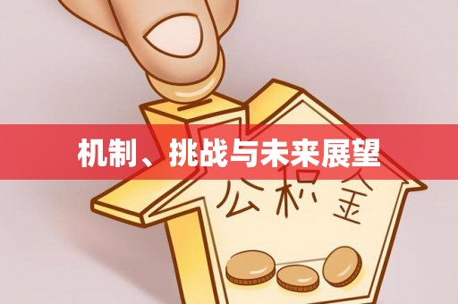 迁西机制、挑战与未来展望